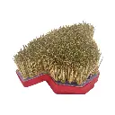 140mm Radial Max Diamond Brush